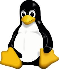 Linux Icon